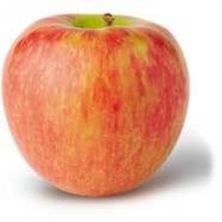 Продам яблука різних сортів високої якості