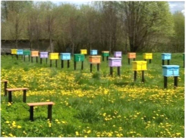 Фото 5. Плідні бджоломатки Карніка Пешец, Пернер, Тройзек (Німеччина, Австрія)