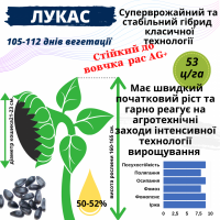 Насіння соняшника Української селекції