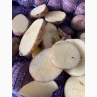 ПРОДАМ Продовольственную и Семенную картошку Сорта Сорая, Барвина, Джилли, Галла и другие