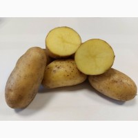 Картопля столова сортова, 20 кг