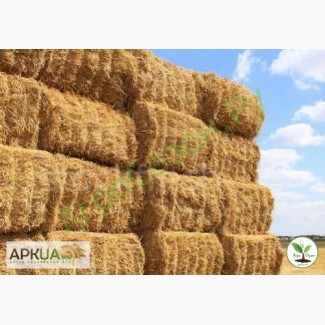 Фермерское хозяйство заключит догор на покупку сена 2019г