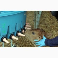 Сухое молоко заменитель цельного молока для телят поросят козлят