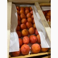 Продам гранат, мандарины, апельсины от поставщика с 3 тонн