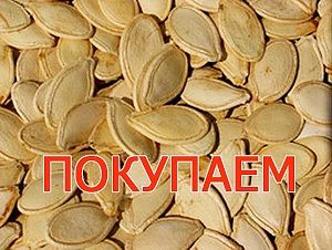 Фото 3. Купим орех грецкий чищенный от населения и бойщиков (бабочка, четверть, микс)