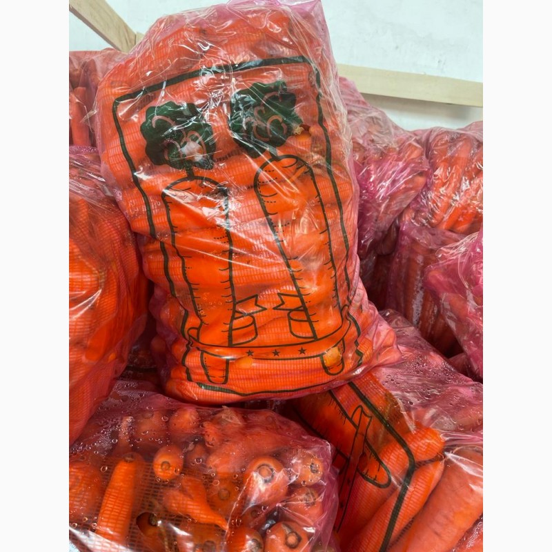 Фото 3. Продам молодую турецкую морковь