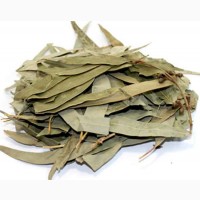 Эвкалипт (листья) 50 грамм