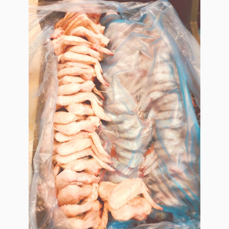 Фото 3. Продам замороженые и охолжденные части курицы. От Венгерского производителя с 20 тонн