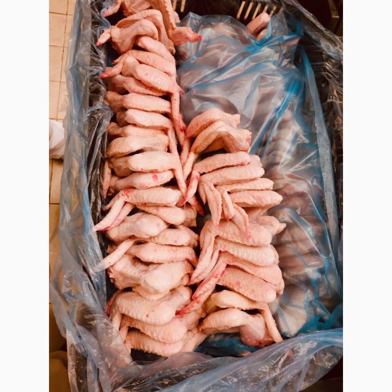 Фото 5. Продам замороженые и охолжденные части курицы. От Венгерского производителя с 20 тонн