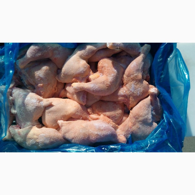 Фото 9. Продам замороженые и охолжденные части курицы. От Венгерского производителя с 20 тонн