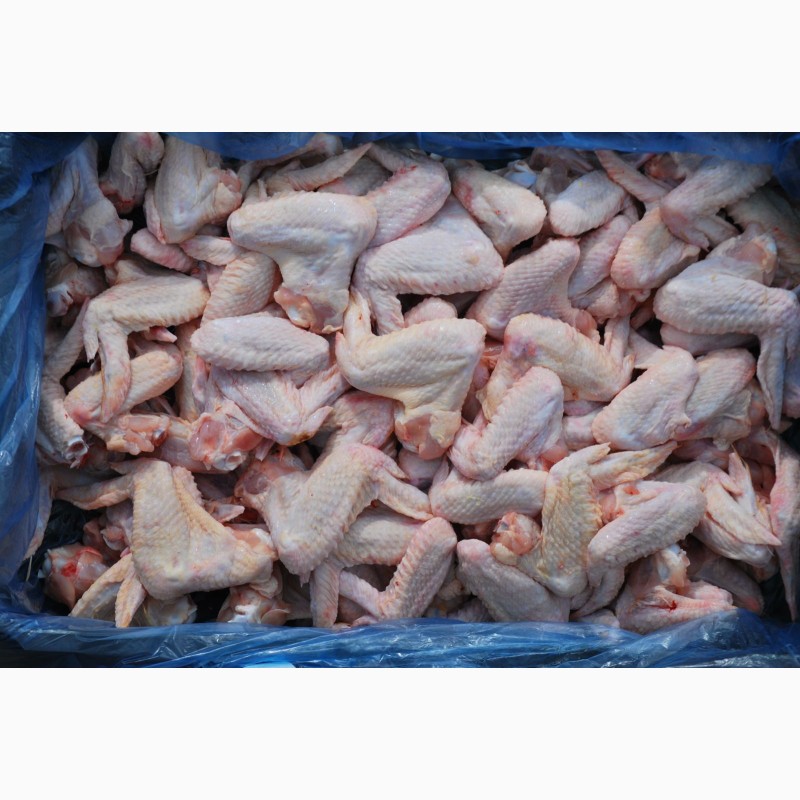Фото 15. Продам замороженые и охолжденные части курицы. От Венгерского производителя с 20 тонн