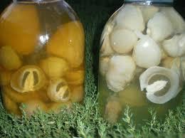 Фото 7. Березовый гриб чага, гриб веселка, сосновые шишки от инсульта