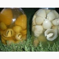 Березовый гриб чага, гриб веселка, сосновые шишки от инсульта