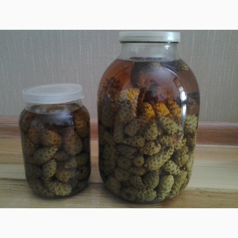 Фото 9. Березовый гриб чага, гриб веселка, сосновые шишки от инсульта
