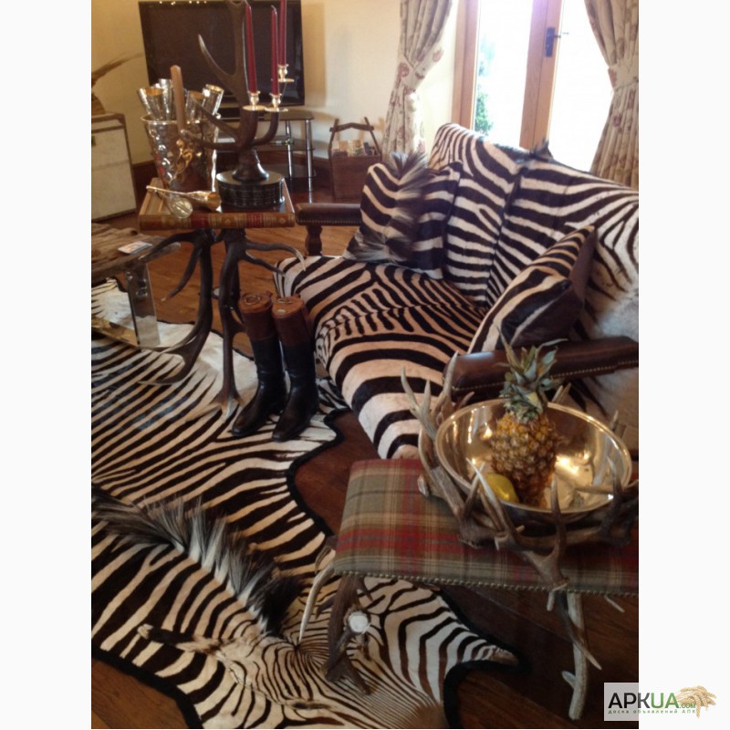 Фото 2. Шкура зебры из ЮАР