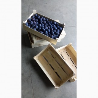 Ящик под грибы ягоды черешню сливу виноград