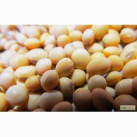 НКЗ-5 нория ковшовая, зерновая (производительность 5 тонн в час по зерну пшеницы)