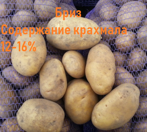 Фото 3. Продам картофель из Белоруссии Оптом