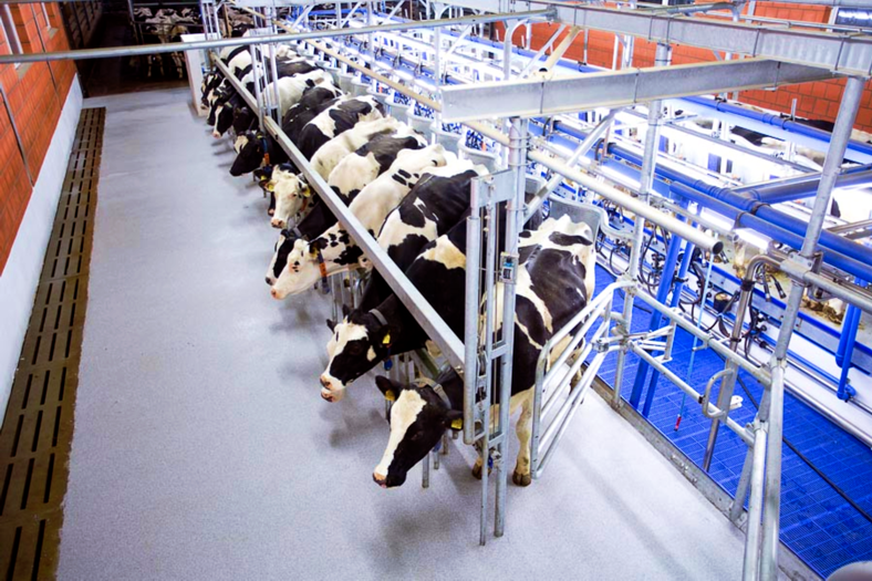 Фото 5. Обладнання DeLaval для молочно-товарних ферм