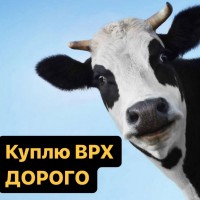 Куплю твою худобу ДОРОГО. ВРХ корови на молоко, бички на м#039;ясо