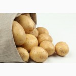 Продам картофель Бора и Ривьера