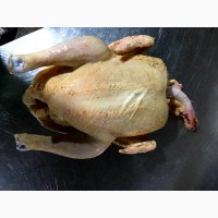 Мясо птицы: курица, утка Мулард, цыплята