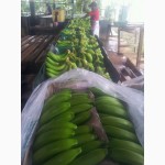 Продаем банан