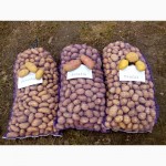 Продам семенной картофель Таисия, Лабелла, Гранада
