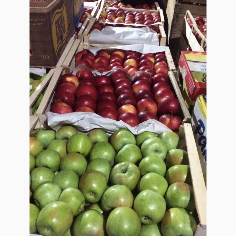 Фото 6. Продам яблука різних сортів з холодильника газовані