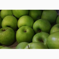Продам яблука врожаю 2018 р