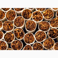 Продам табак качественный фабричный табак гильзы