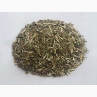 Буквица (трава) 1 кг