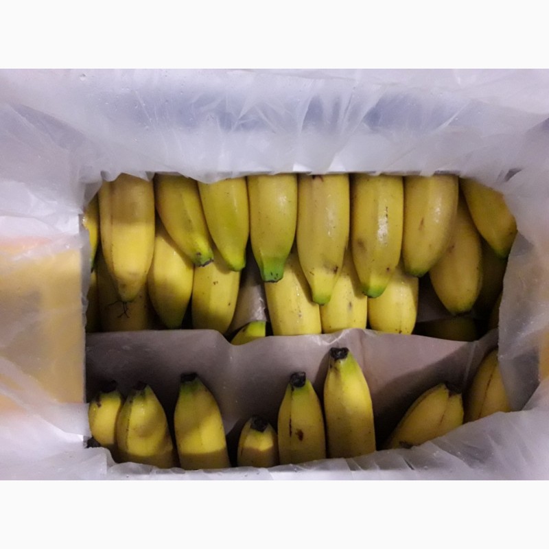 Фото 3. Продам банан 1-2кат