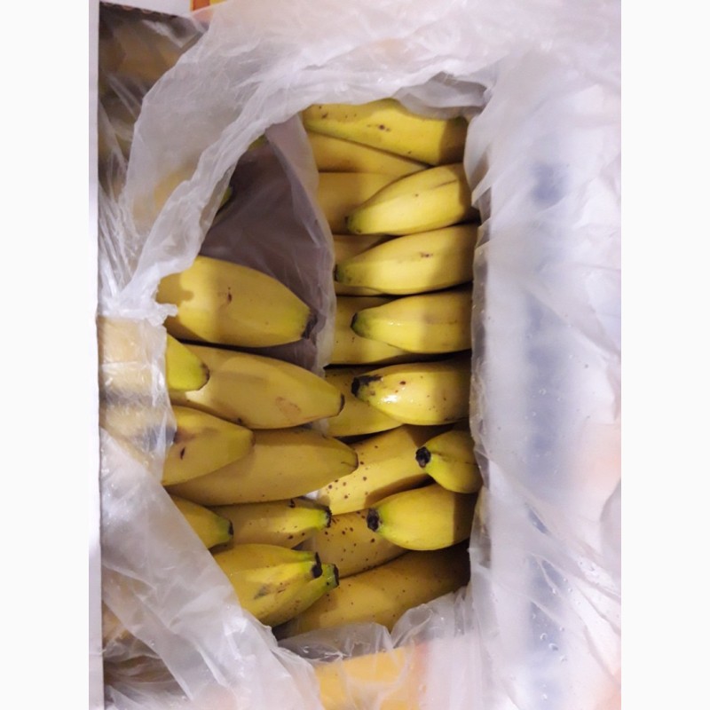 Фото 4. Продам банан 1-2кат