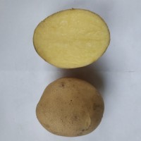 Продам картоплю оптом