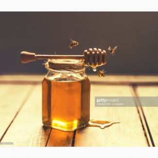 Куплю мед ОПТОМ в Черкаській області