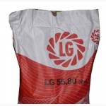 Семена подсолнечника Limagrain LG 5580