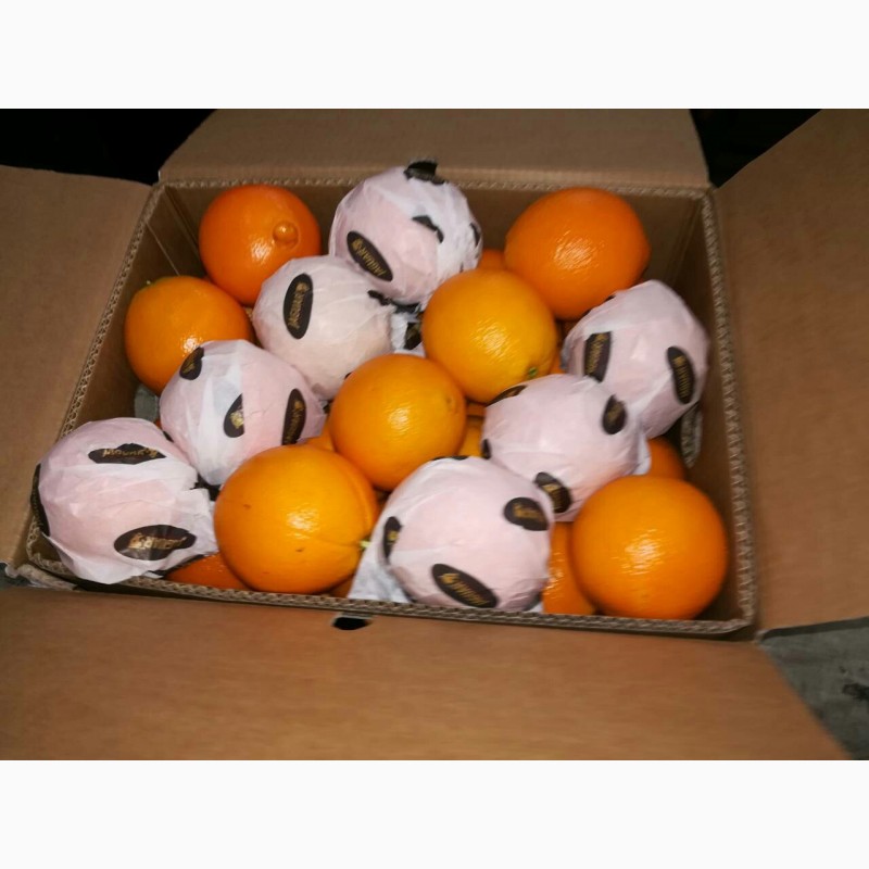 Фото 3. Апельсины Валенсия Навел прямые поставки Египет Orange Valencia