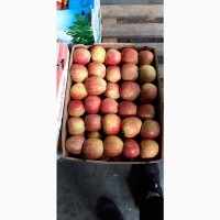 Продам яблука
