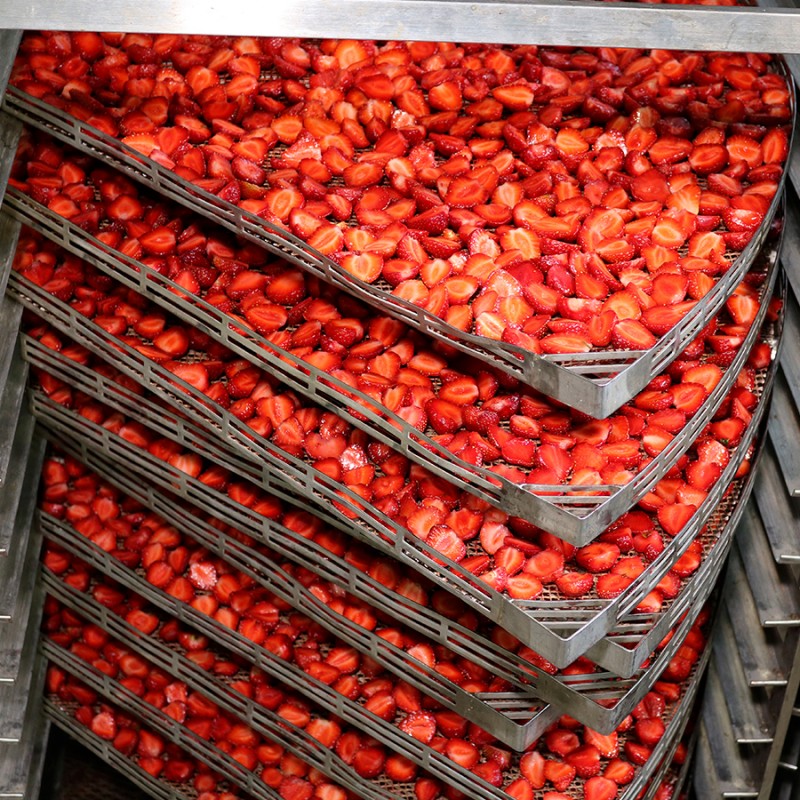 Фото 4. Промышленная сушка ягод, фруктов, овощей