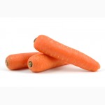 Продам морковь Абако оптом