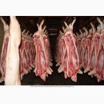 Мясо свинины в тушах и полутушах оптом от производителя
