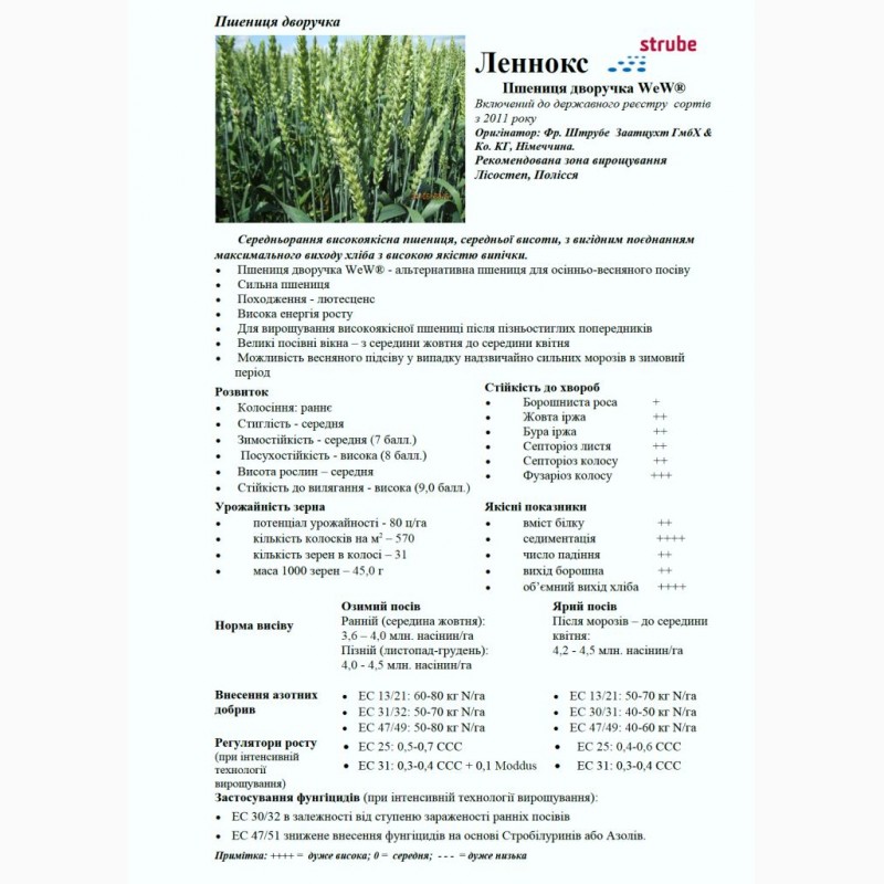 Фото 6. Пшениця дворучка Леннокс (Штрубе, Німеччина) - для осінньо-весняного посіву