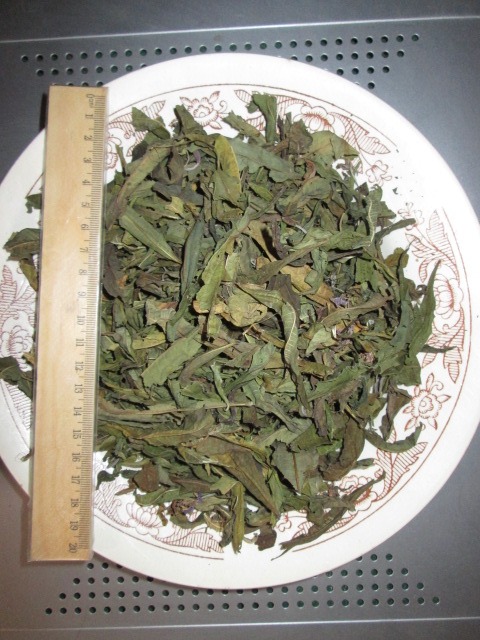 Фото 2. Иван чай лист цельный зелёный, кипрей, Epilobium angustifolium, Карпат, высокогорный, эко