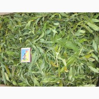 Иван чай лист цельный зелёный, кипрей, Epilobium angustifolium, Карпат, высокогорный, эко