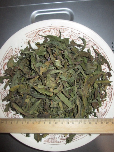 Фото 6. Иван чай лист цельный зелёный, кипрей, Epilobium angustifolium, Карпат, высокогорный, эко