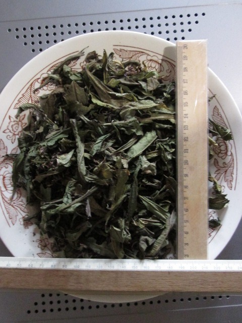 Фото 7. Иван чай лист цельный зелёный, кипрей, Epilobium angustifolium, Карпат, высокогорный, эко