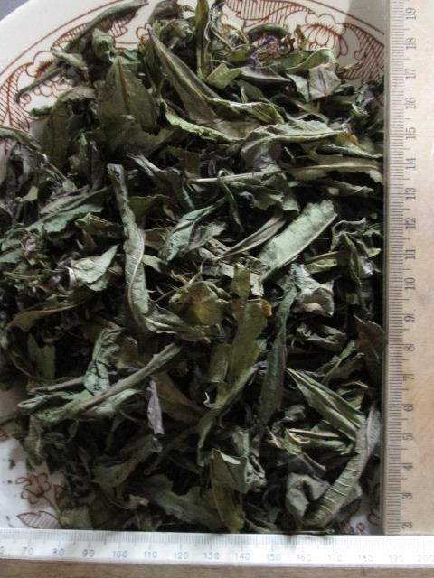 Фото 8. Иван чай лист цельный зелёный, кипрей, Epilobium angustifolium, Карпат, высокогорный, эко