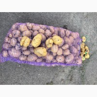 Продам картофель некондиция