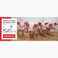 Сапокорм - мінеральна добавка для відгодівлі свиней, 25 кг